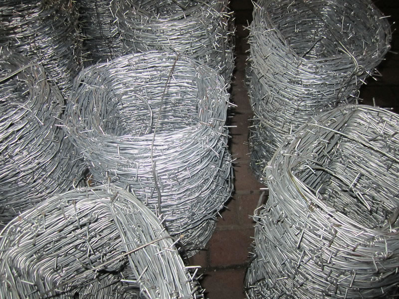 Galvanized Barbed Wire