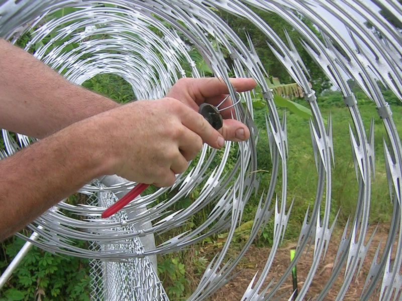 Razor Wire Coils